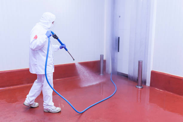 Best Building Exterior Washing  in Ridgefield Park, NJ