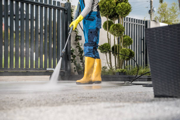 Best Solar Panel Cleaning  in Ridgefield Park, NJ